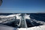 430_1ds_6868.jpg