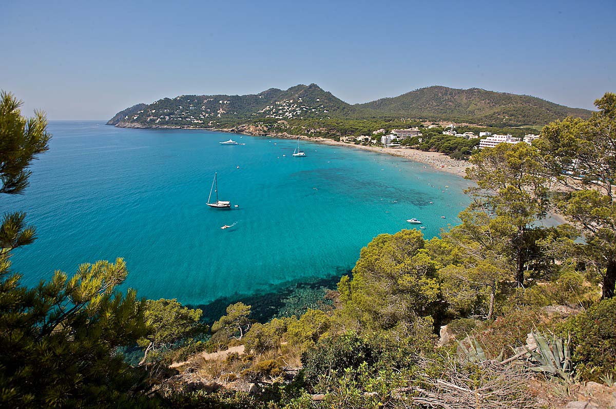 mallorca_4_04_1ds_0591.jpg