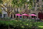montpellier_13.jpg