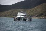 100130_martinique_12