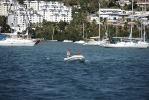 100130_martinique_14
