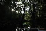 1ds_6974
