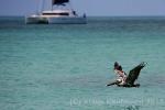 anigua_deep_bay__12