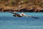 anigua_deep_bay__13