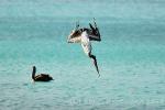 anigua_deep_bay__18