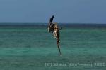 anigua_deep_bay__20