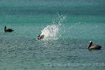 anigua_deep_bay__21