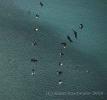 anigua_deep_bay__22