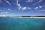 sanddollar_01