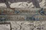 sanddollar_02