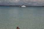 sanddollar_06