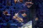 atlantis_12