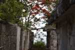 eleuthera_11