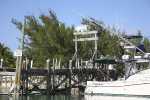 little_harbour_02