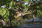 hopetown_15
