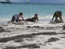 guana_06