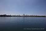 1DS_3253