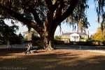 11_Boone_Hall-9539