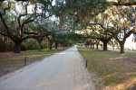 23_Boone_Hall-9567