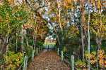 24_Boone_Hall-7