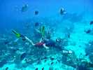 06_KK_03_Compass Cay 073