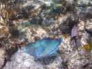 12_KK_10_Compass Cay 065