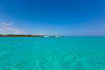 01_KK_10_1DS_1491
