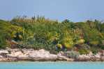 03_KK_06_1DS_1457