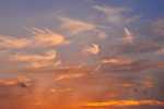 01_1DS_2461