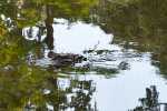 09_KK_0010_KK_L3851