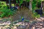 18_KK_0019_KK_L3968_HDR