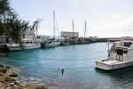 Blog_20120227_18_CIMG7179