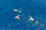 Cayman_08_DSC00068