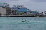 Cayman_16_DSC00140