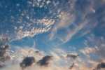 Cayman_19_KK_L1720