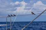 Segeln_06_DSC00199