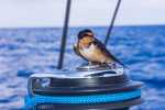 Segeln_07_DSC00211
