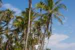 San_Blas_14_DSC00363