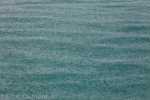 Blog_20120502_KK_L1767