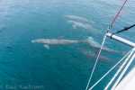 Blog_20120503_DSC00528