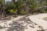 Blog_20120506_DSC00675