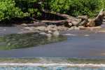 Blog_20120622_KK_L2239