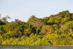 Blog_20120622_KK_L2265