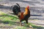 blog_20130702_kk_l5317