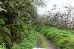blog_20130702_kk_l5606