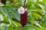 blog_20130702_kk_l5616