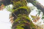 blog_20130702_kk_l5624
