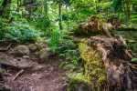 blog_20130708_dsc00571_hdr