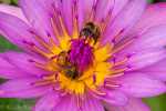25_blog_20130728_kk_l6211-2