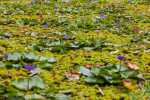 30_blog_20130728_kk_l6239